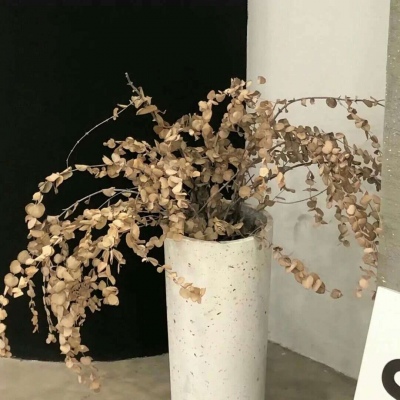 奉贤FurryQQ群介绍